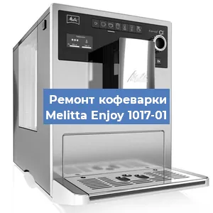 Ремонт клапана на кофемашине Melitta Enjoy 1017-01 в Ростове-на-Дону